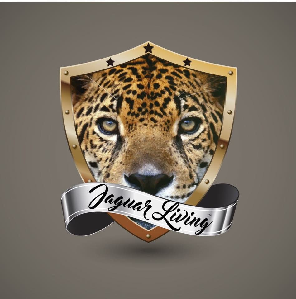 Jaguar Living Night of Networking was crazy!!!